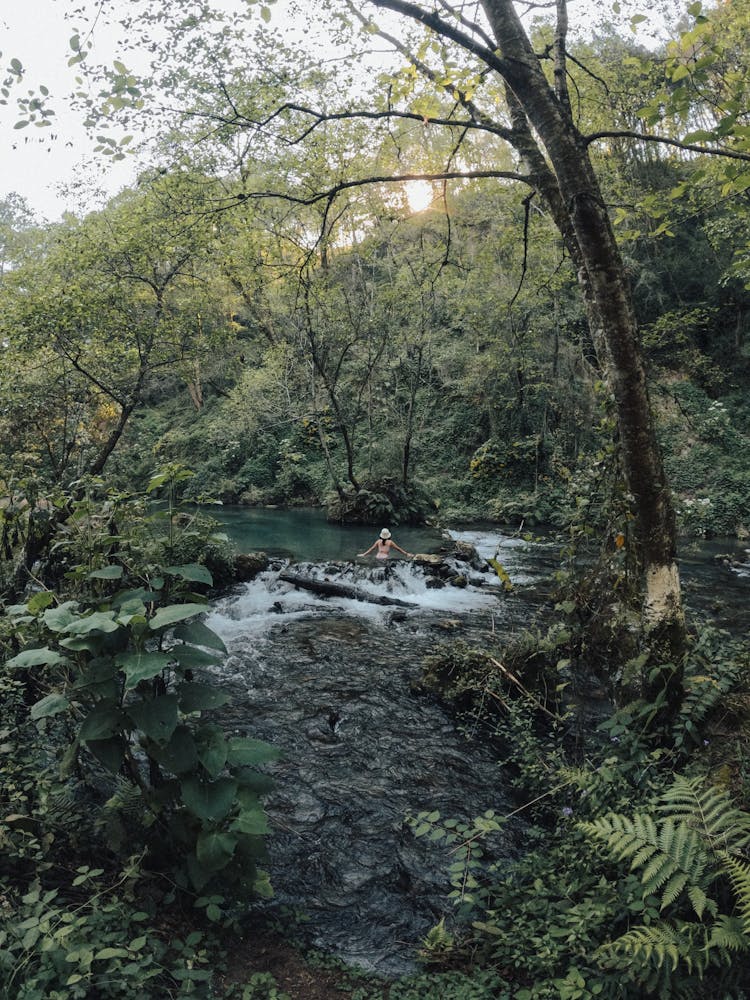 A Woman Swimming In A River