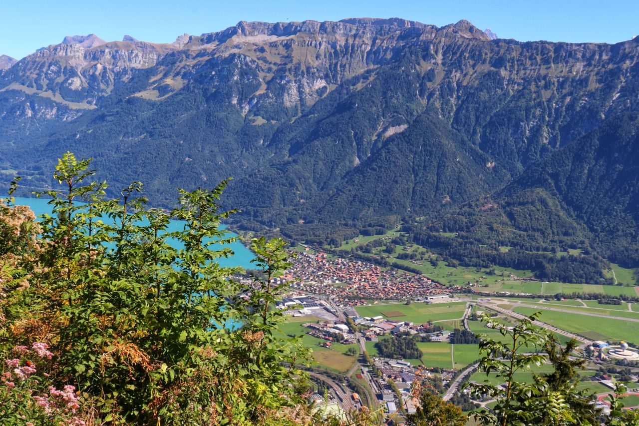 Kulm