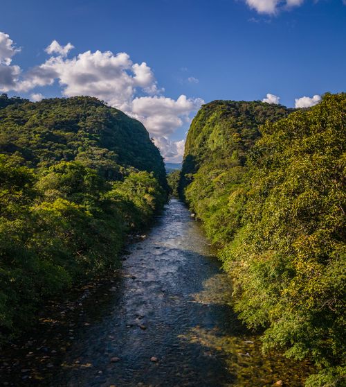 Free Serene river winding through lush green gorge under vibrant blue sky in Florencia, Colombia. Stock Photo