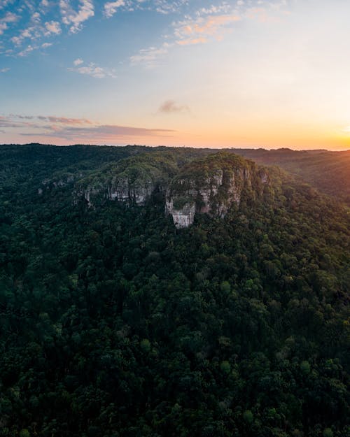 Drone Shot of Mountain Covered in Trees