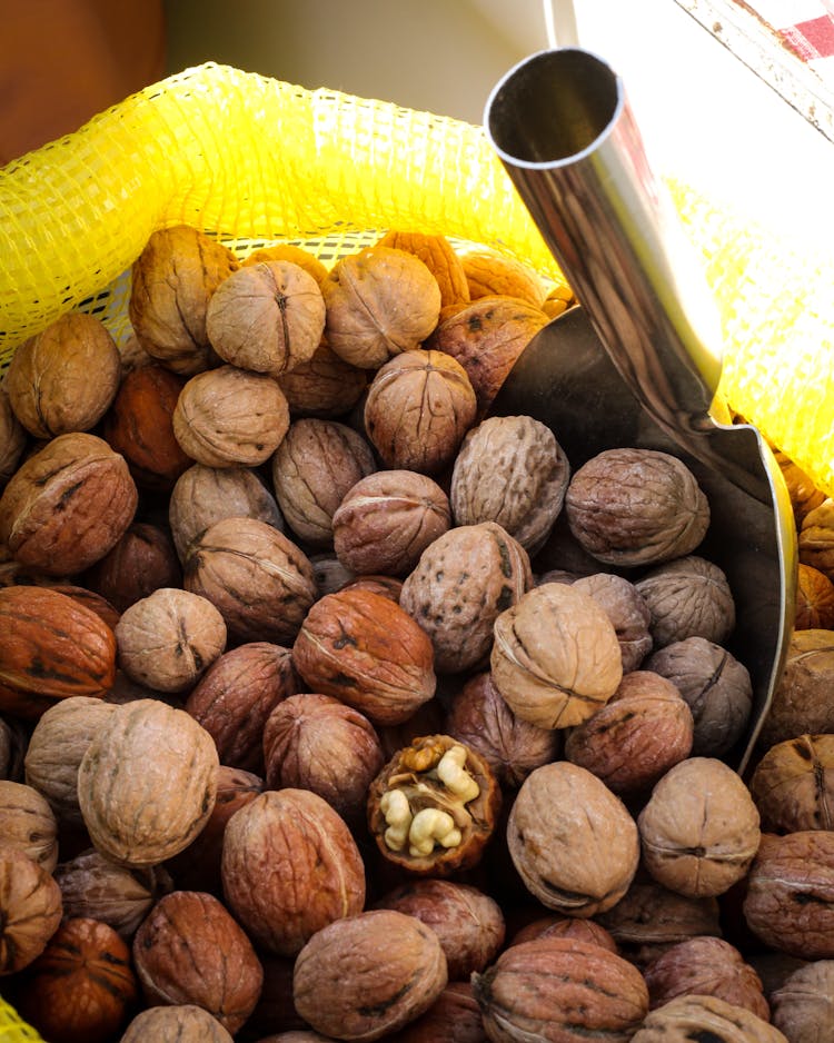 Bag Of Walnuts 