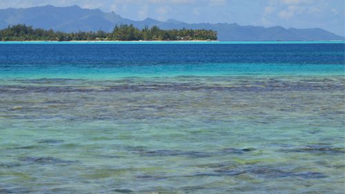 Free Serene view of a tropical island surrounded by turquoise ocean waters. Stock Photo