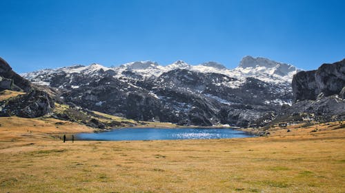 ฟรี คลังภาพถ่ายฟรี ของ covadonga, enol, grassfield คลังภาพถ่าย