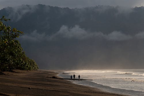 Silhouettes of People Walking on a Beach