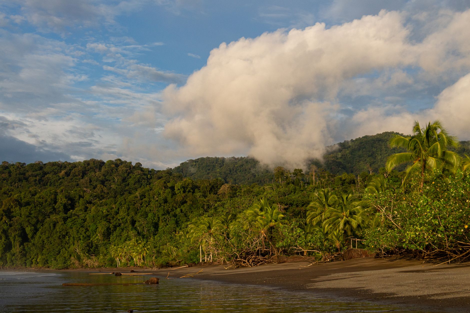 Nuquí, donde la selva entra al mar