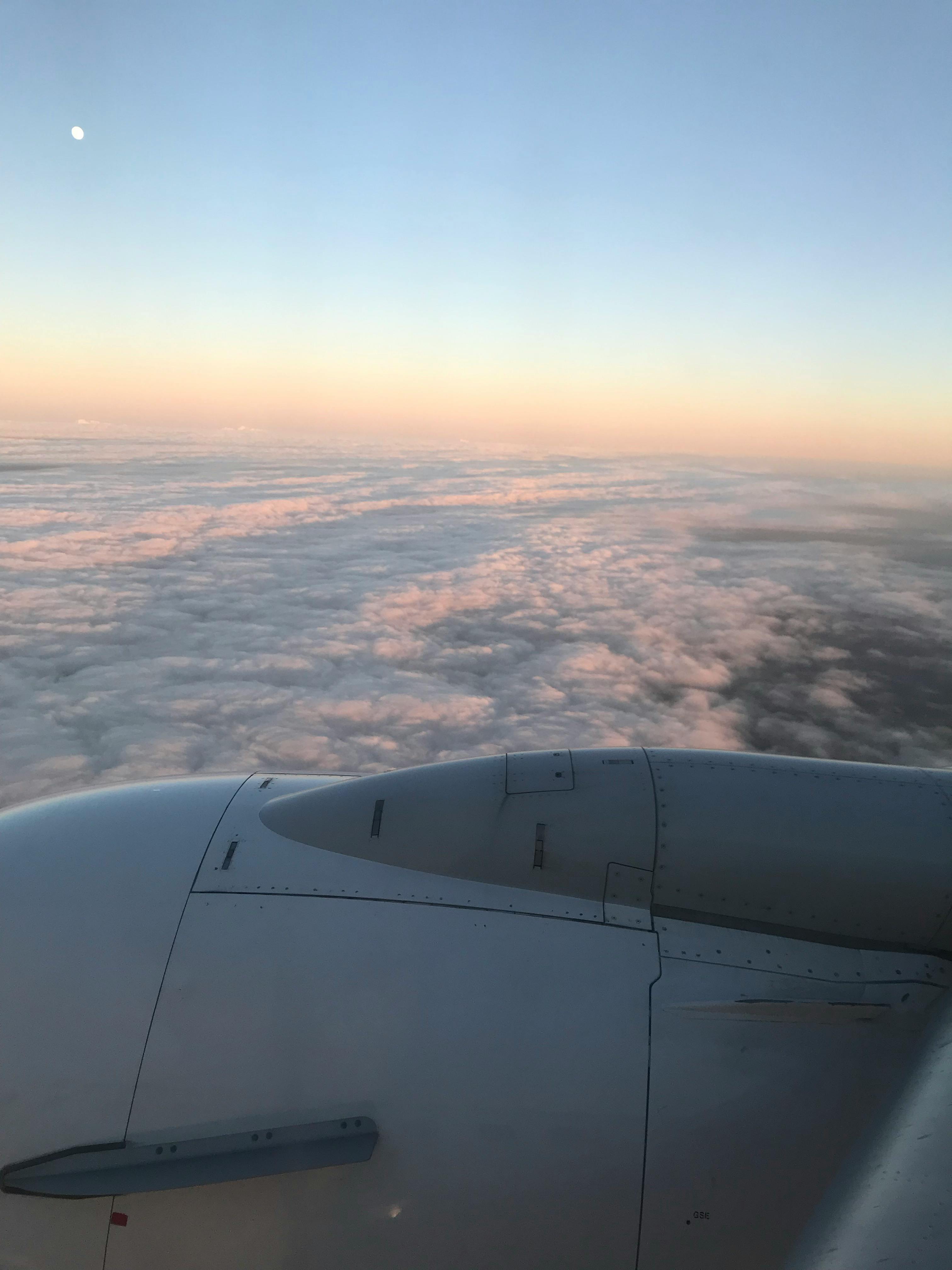 ALIMENTAZIONE SANA - La Finestra Sul Cielo - Foto 5