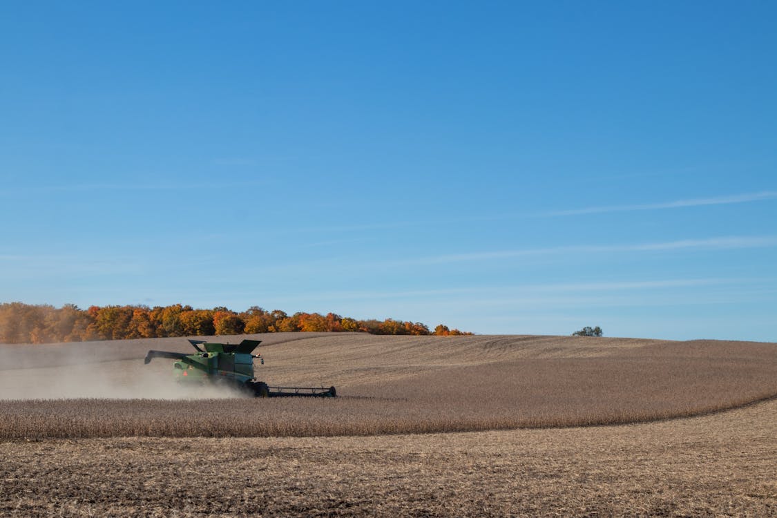 Green Combine Harvester in the Soybeans Field