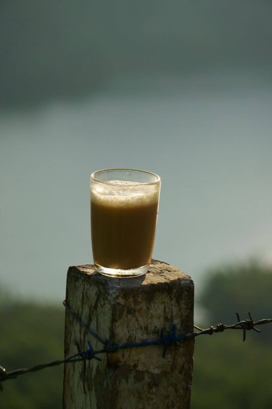 A quiet tea moment in nature