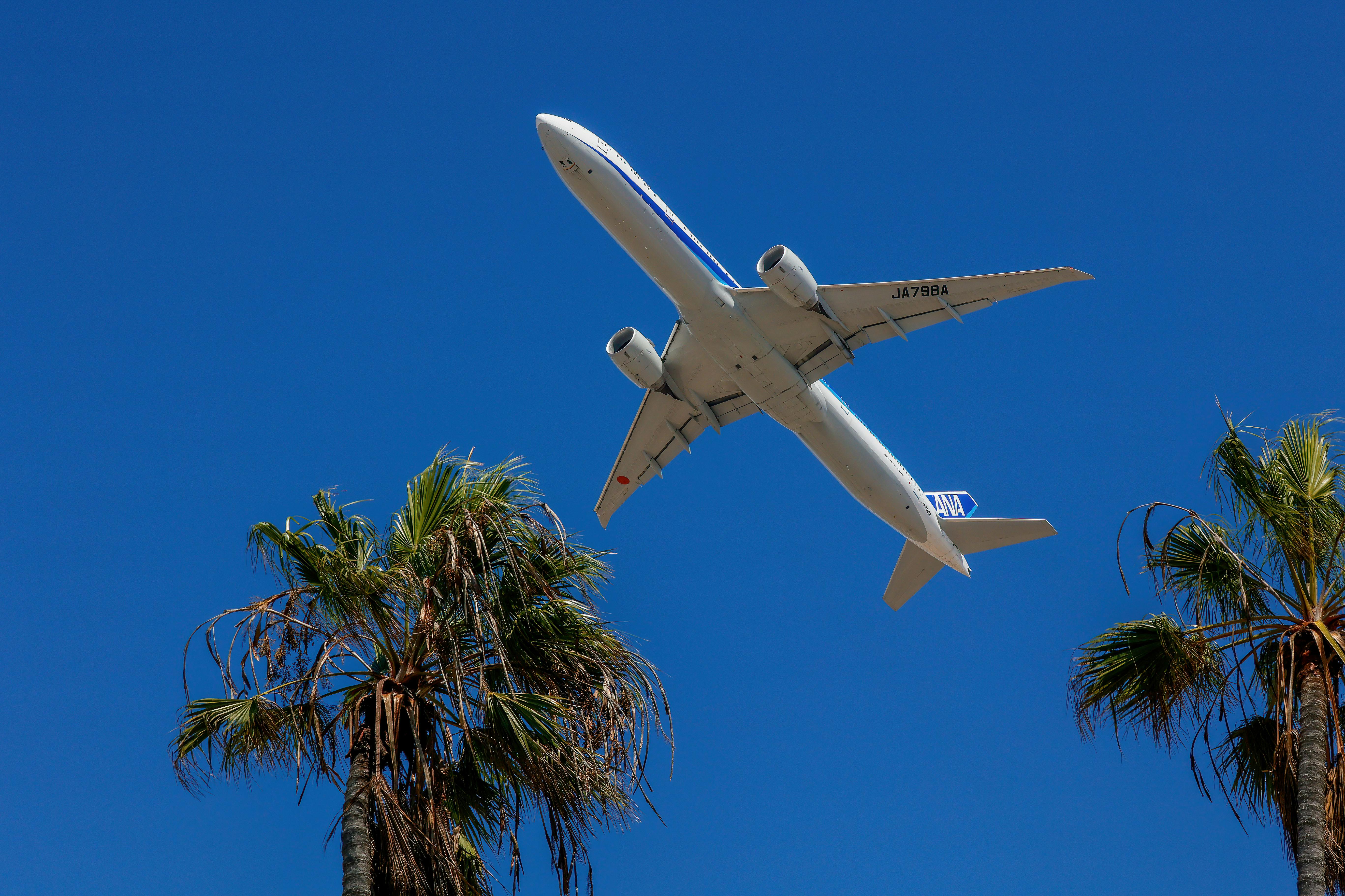 Getting started with points, miles and credit cards to travel — Photo by David Brown on Pexels