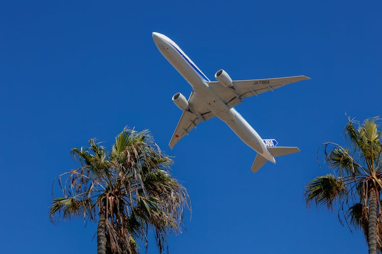 ANA Out Of LAX