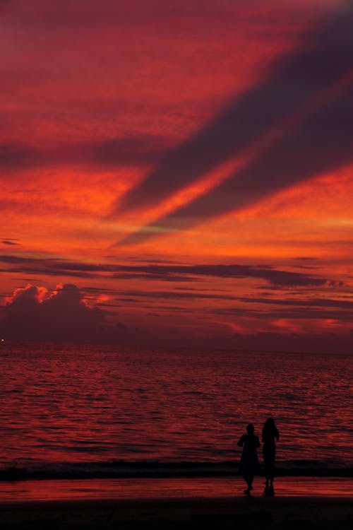 Silhouette of People at the Beach During Golden Hour 