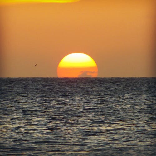 地平線, 太陽, 日落 的 免费素材图片