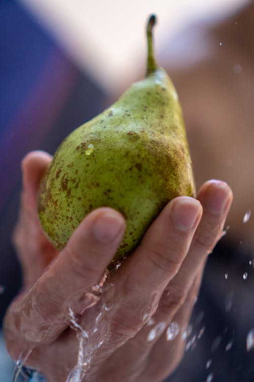 A Person Hand Holding a Fruit