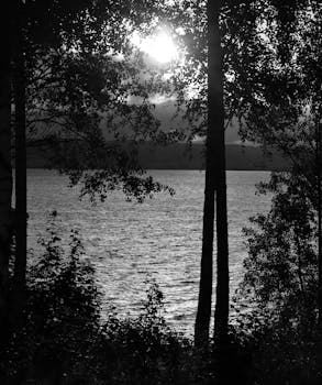 Dramatic black and white image of a lake framed by trees at sunset, exuding tranquility.