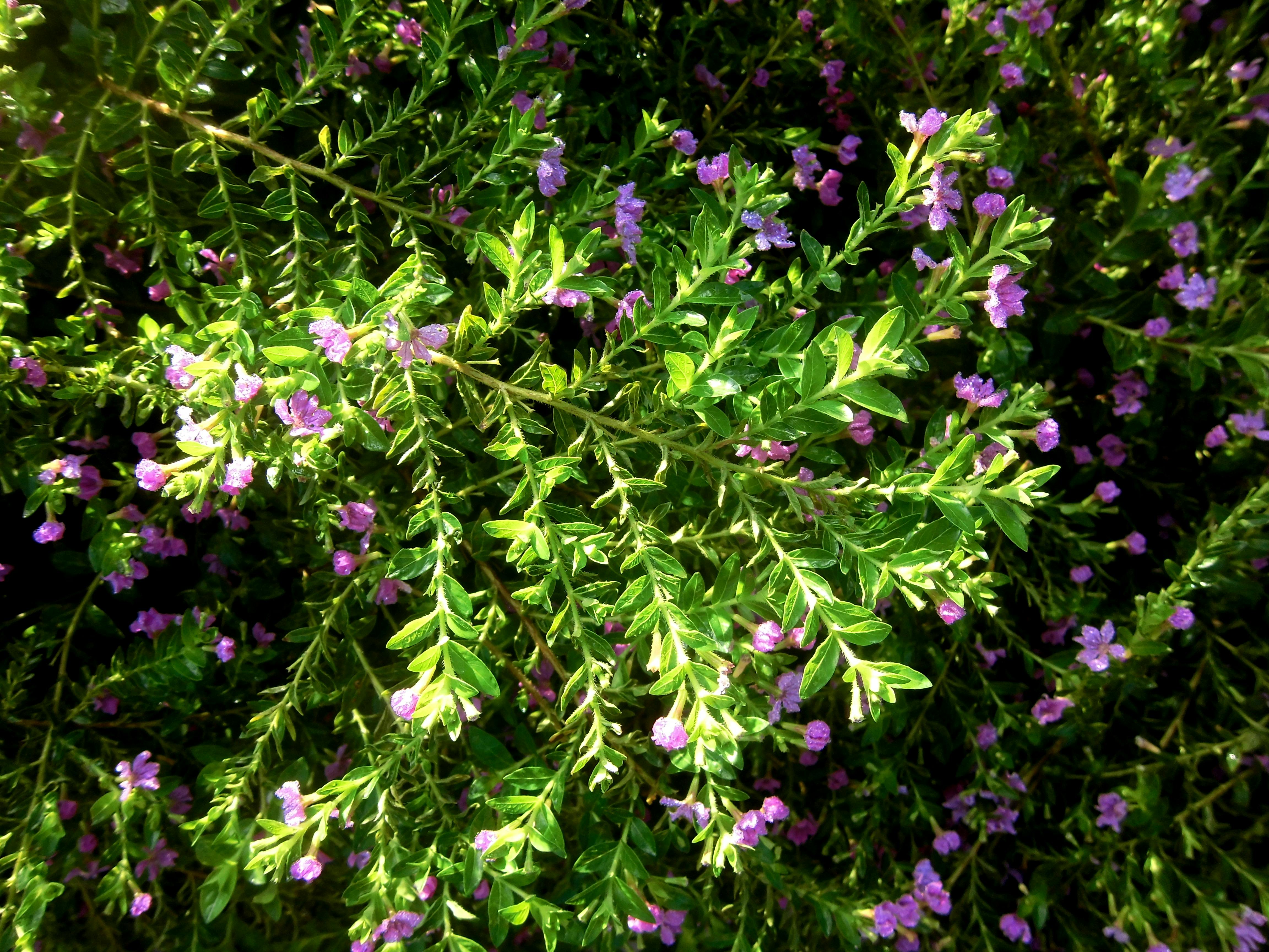 Professional office building in a city