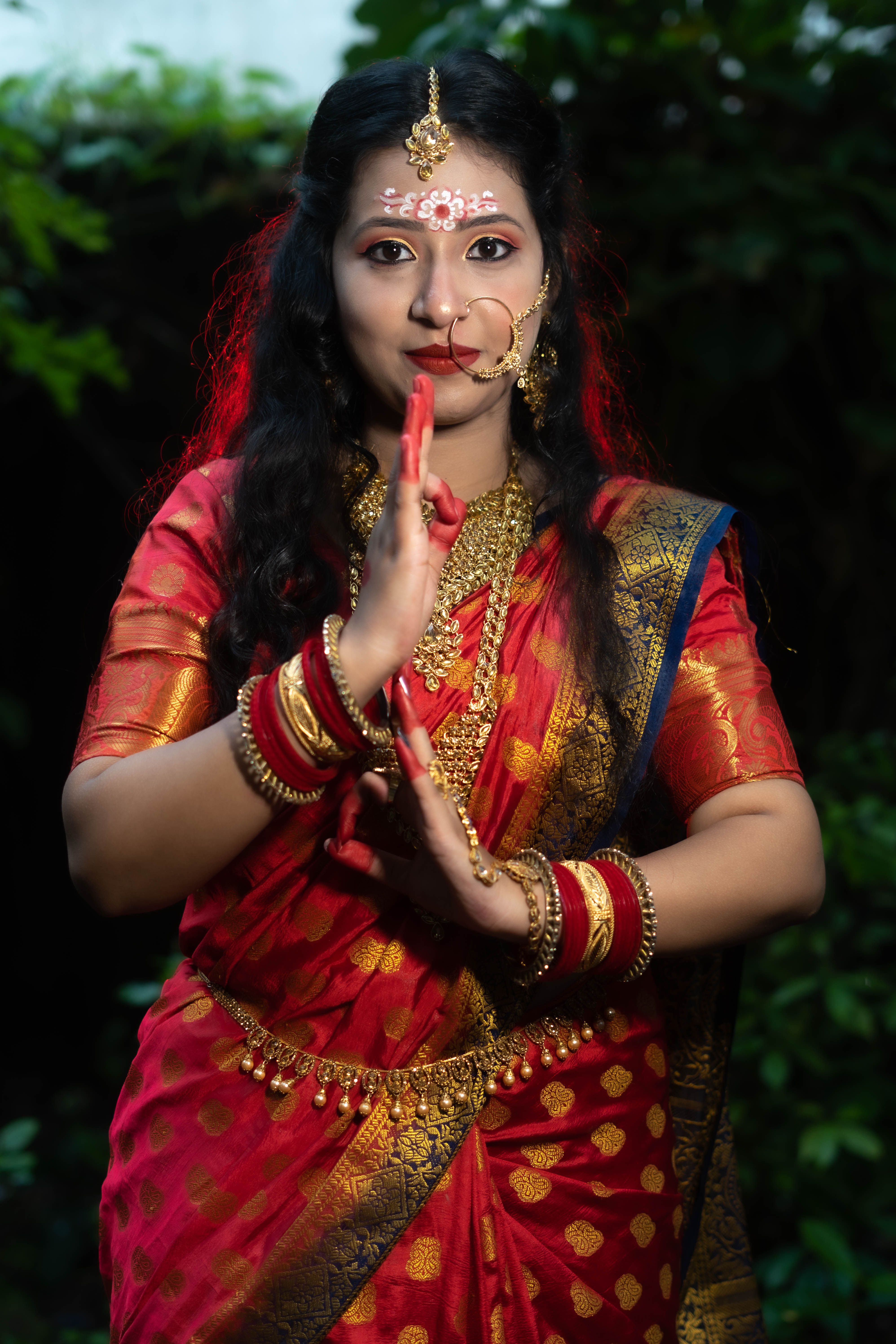 Portrait of a Woman Posing in Traditional Sari Dress · Free Stock Photo