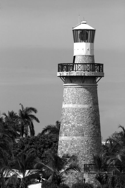 Black and white photo of a lighthouse surrounded by tropical palms, offering a classic and serene view.
