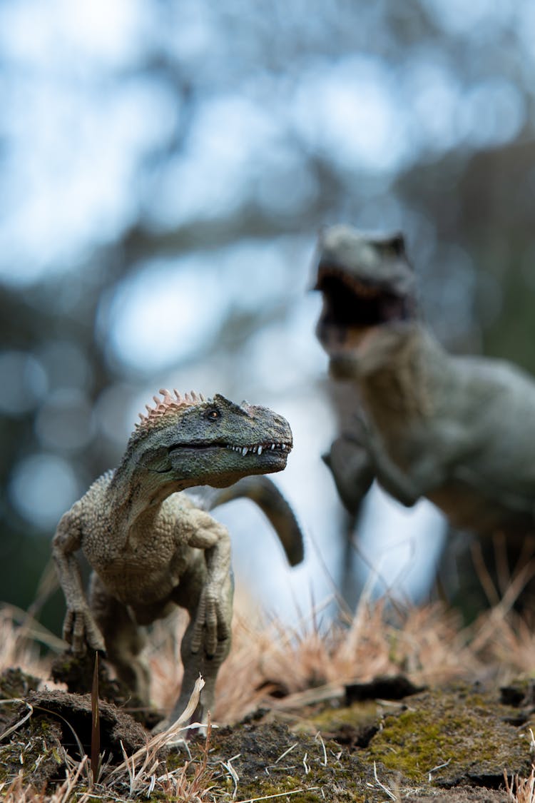 Dinosaur Figurines In The Grass 