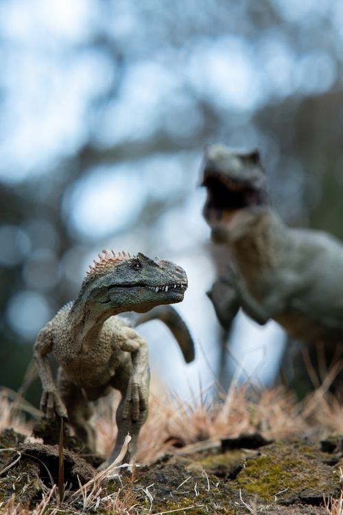 Free Close-up of dinosaur figurines in nature, capturing realistic details with blurred background. Stock Photo