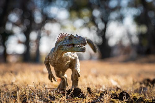 A Close-Up Shot of a Dinosaur Toy on a Field