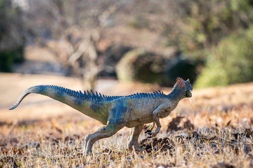 Free Close-up of a toy dinosaur in a natural outdoor setting with blurred background. Stock Photo