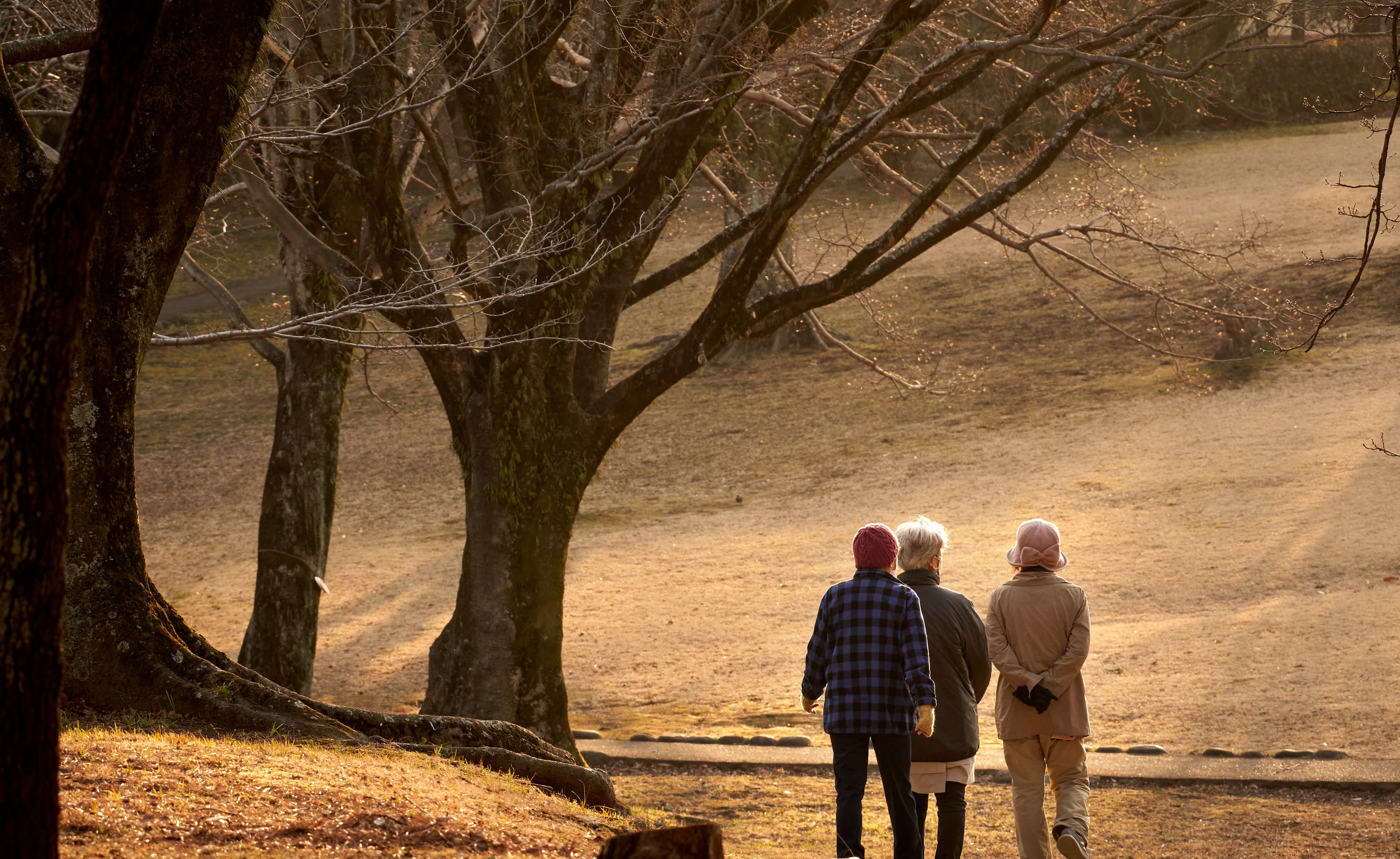 Three seniors walking through a serene autumn park with bare trees and soft sunlight.