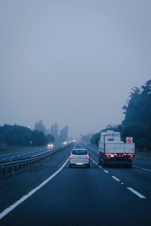 Imagine de stoc gratuită din arbori, autostradă, autoturisme