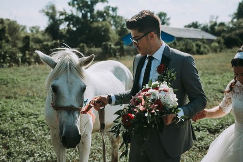 Free Charming outdoor wedding scene with bride, groom, and horse, evoking romance and adventure. Stock Photo