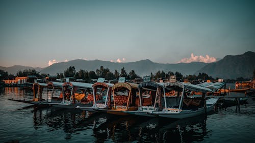 dal gölü, kashmir, srinagar içeren Ücretsiz stok fotoğraf