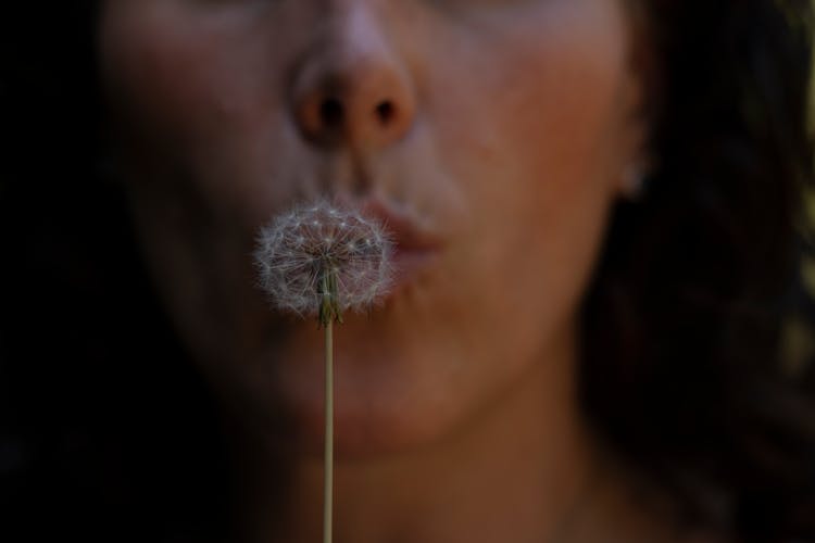 Woman Blowing Dandelion Seeds