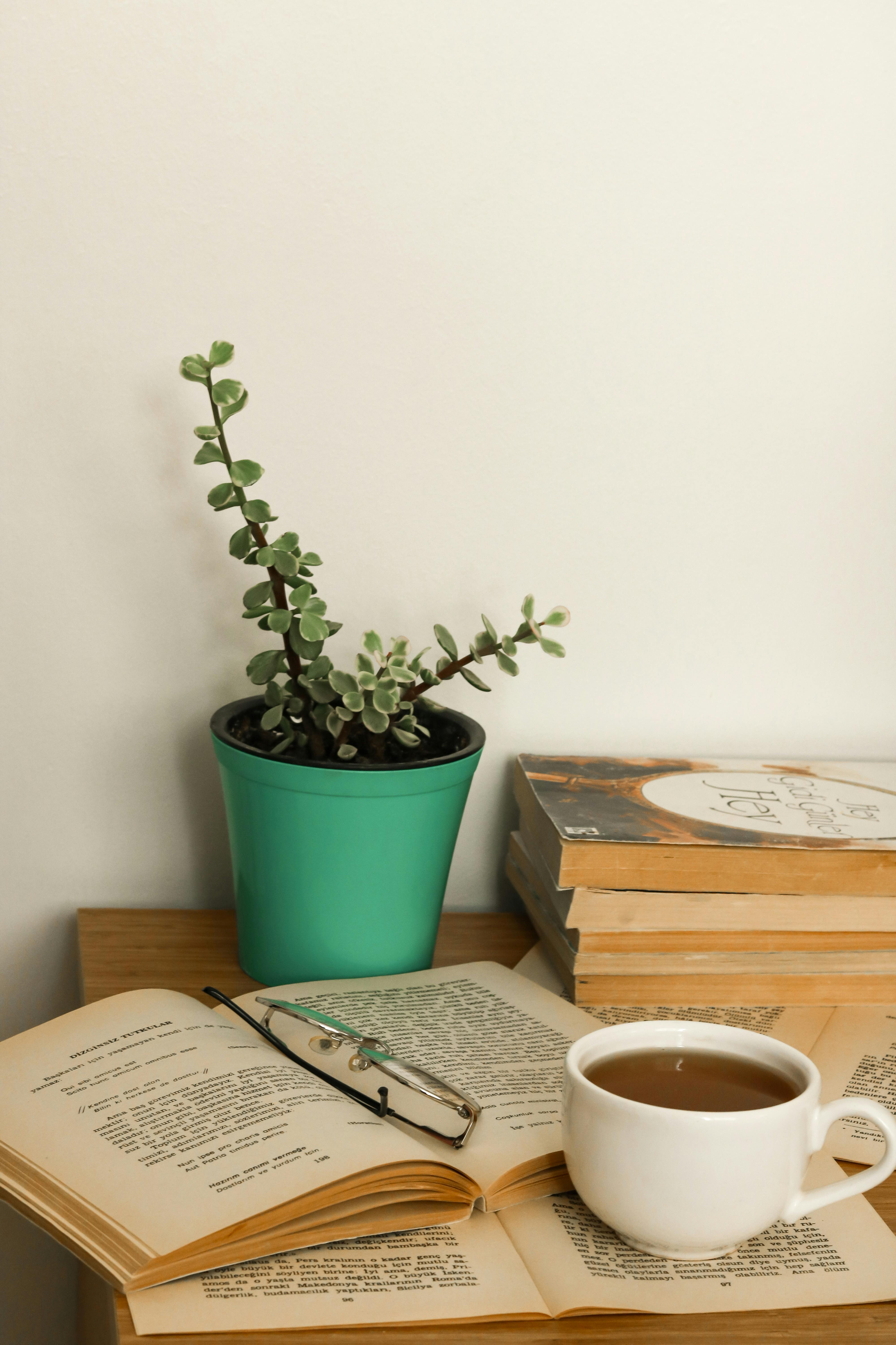 Photo by Feyza Daştan