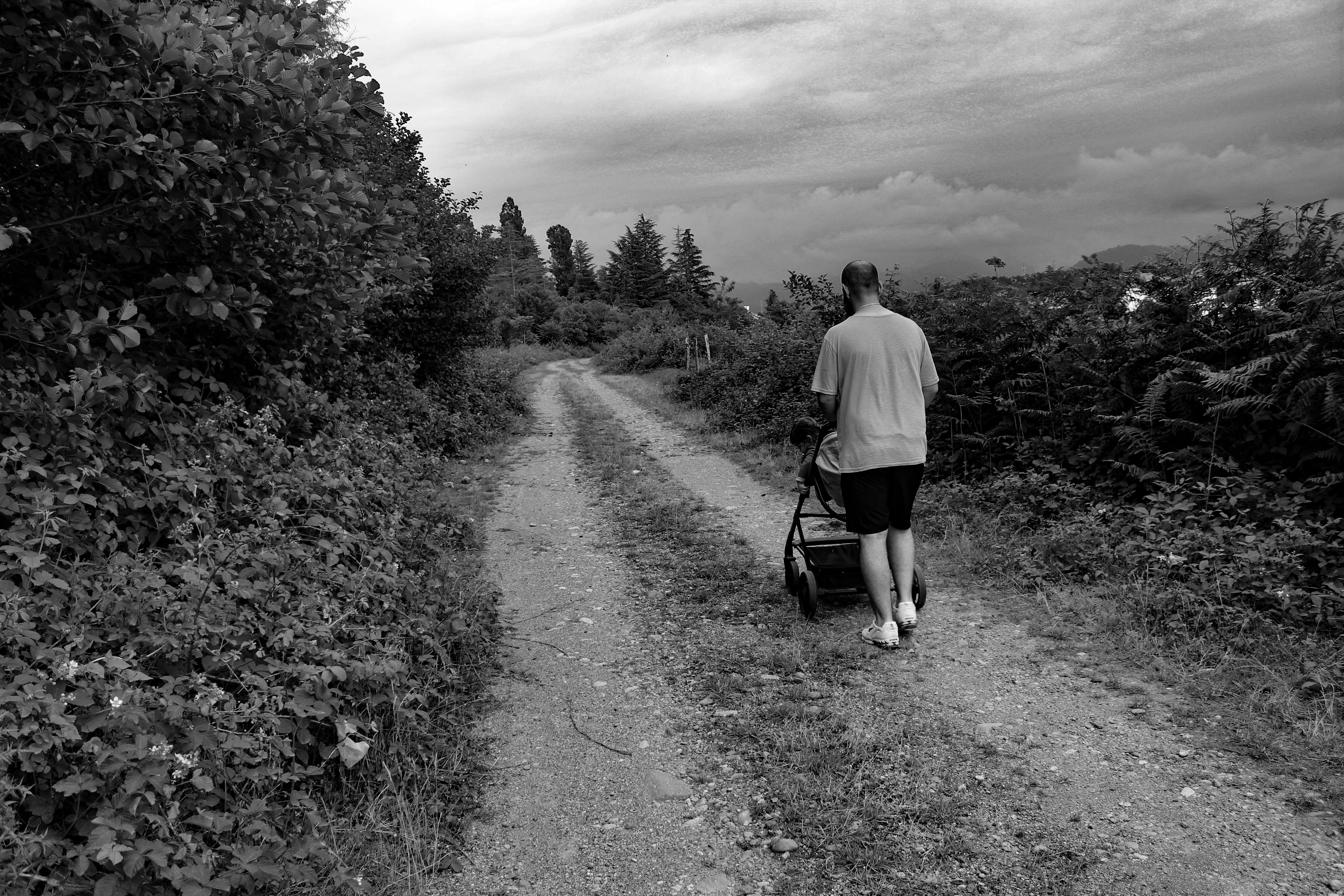 A man pushes a stroller along a rural dirt path surrounded by lush greenery.
