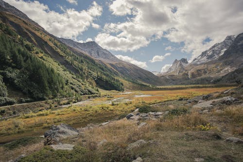 A Green Trees on Mountain Under the Cloudy Sky