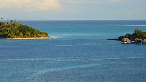 Green Island in the Middle of Blue Sea Under Blue Sky