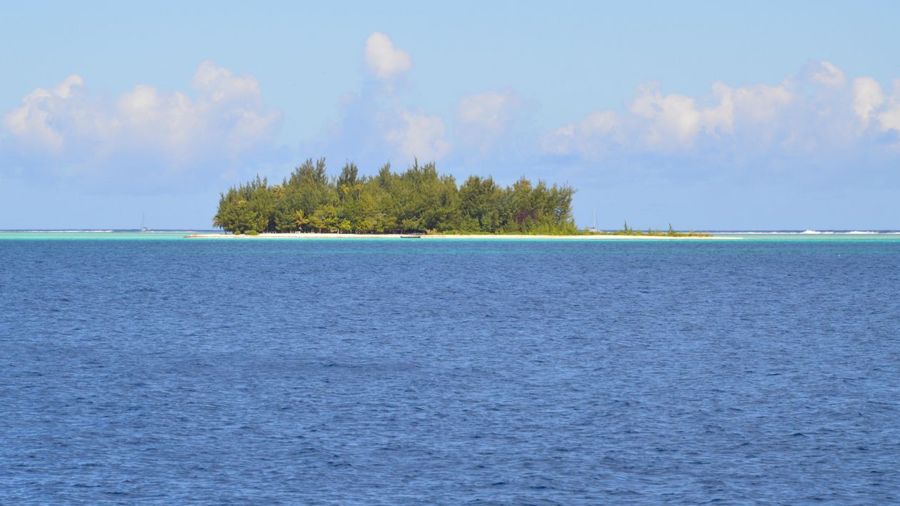 Green Trees on Island Surrounded by Blue Sea Water Under Blue Sky ...