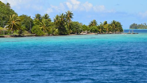 Free A picturesque view of a tropical island with palm trees against a vibrant blue sea, ideal for travel inspiration. Stock Photo