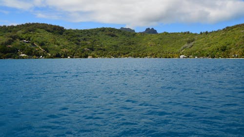 Green Trees on Island Near Body of Water Under Blue Sky and White Clouds