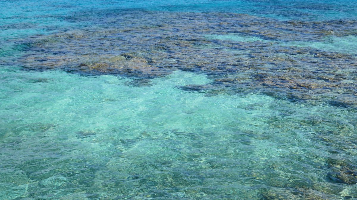 High-angle view of a shallow reef shelf, clear turquoise-to-teal water shifting over a visible depth gradient of coral and sand, no swimmers in the frame.