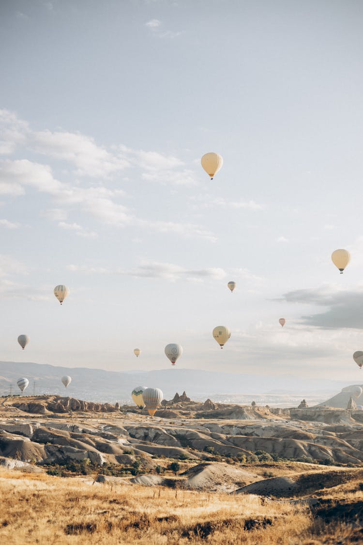 Hot Air Balloons On The Sky