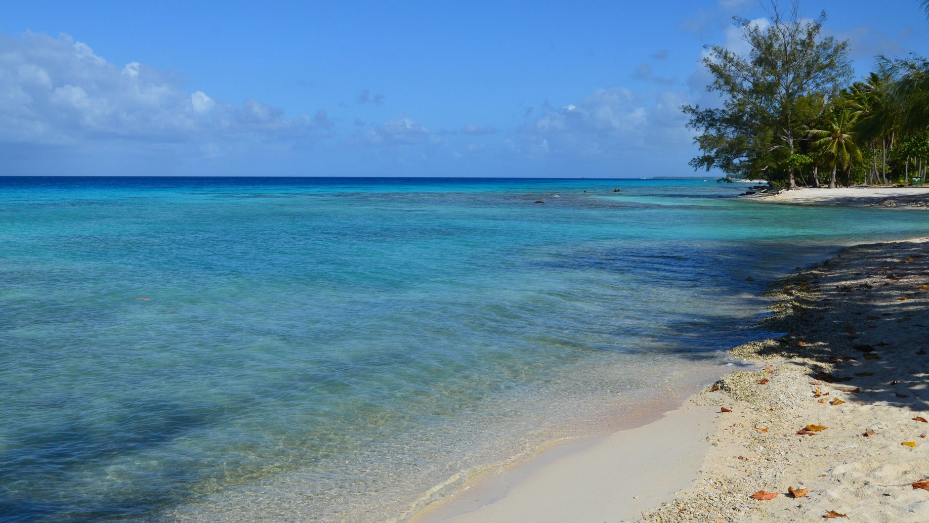 Peaceful tropical beach scene with clear blue water and sandy shore. — free online jigsaw puzzle on JigsawPuzzlesFreeOnline.org