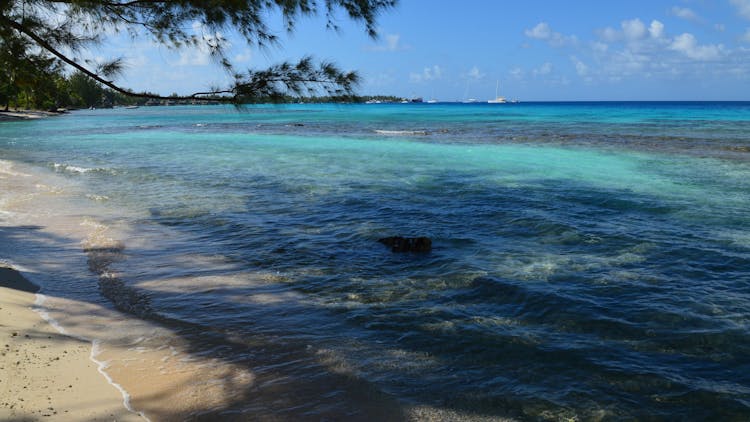 Waves On Sea Shore