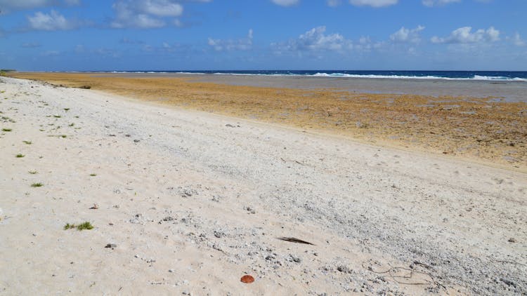 Empty Sandy Beach And The Sea 