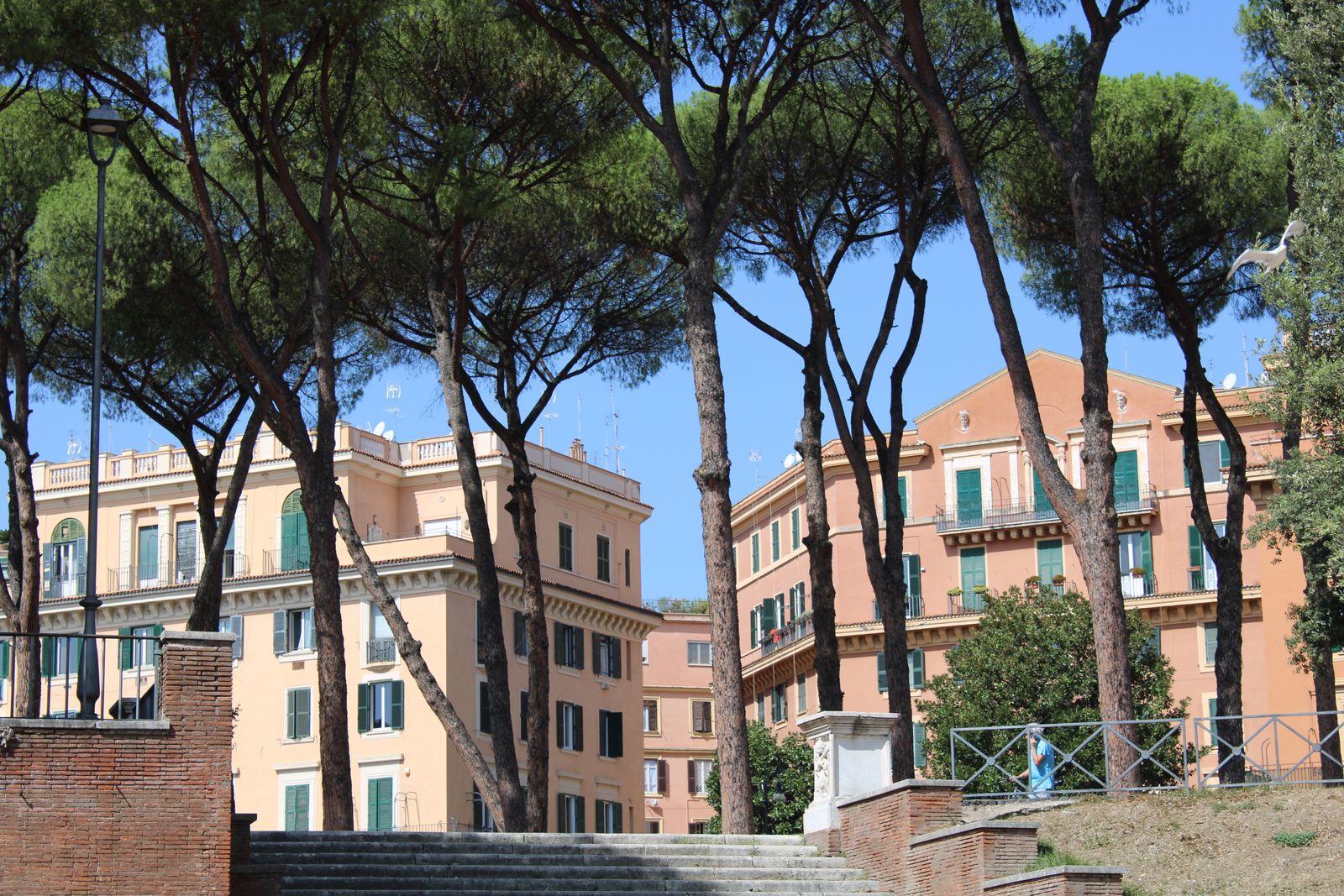 Villa Borghese's pines, a good place to slow down between museums
