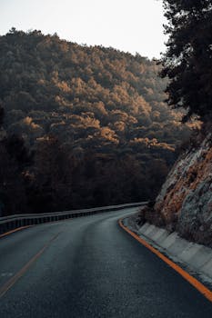 A tranquil winding road through a dense forested mountain with autumn foliage.