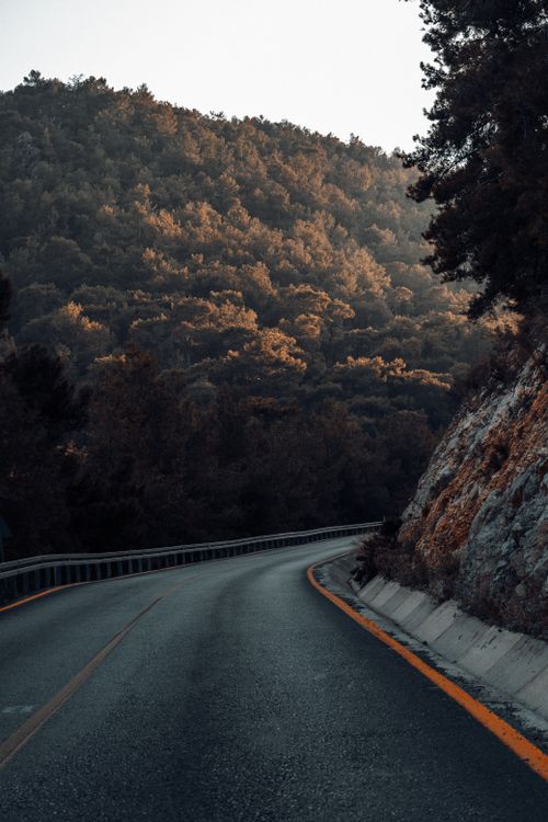 Free A tranquil winding road through a dense forested mountain with autumn foliage. Stock Photo