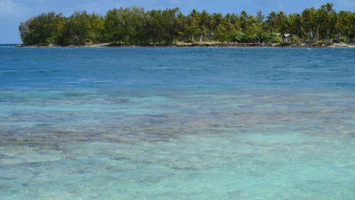 Free Scenic view of a tropical island with lush trees and clear turquoise waters. Stock Photo
