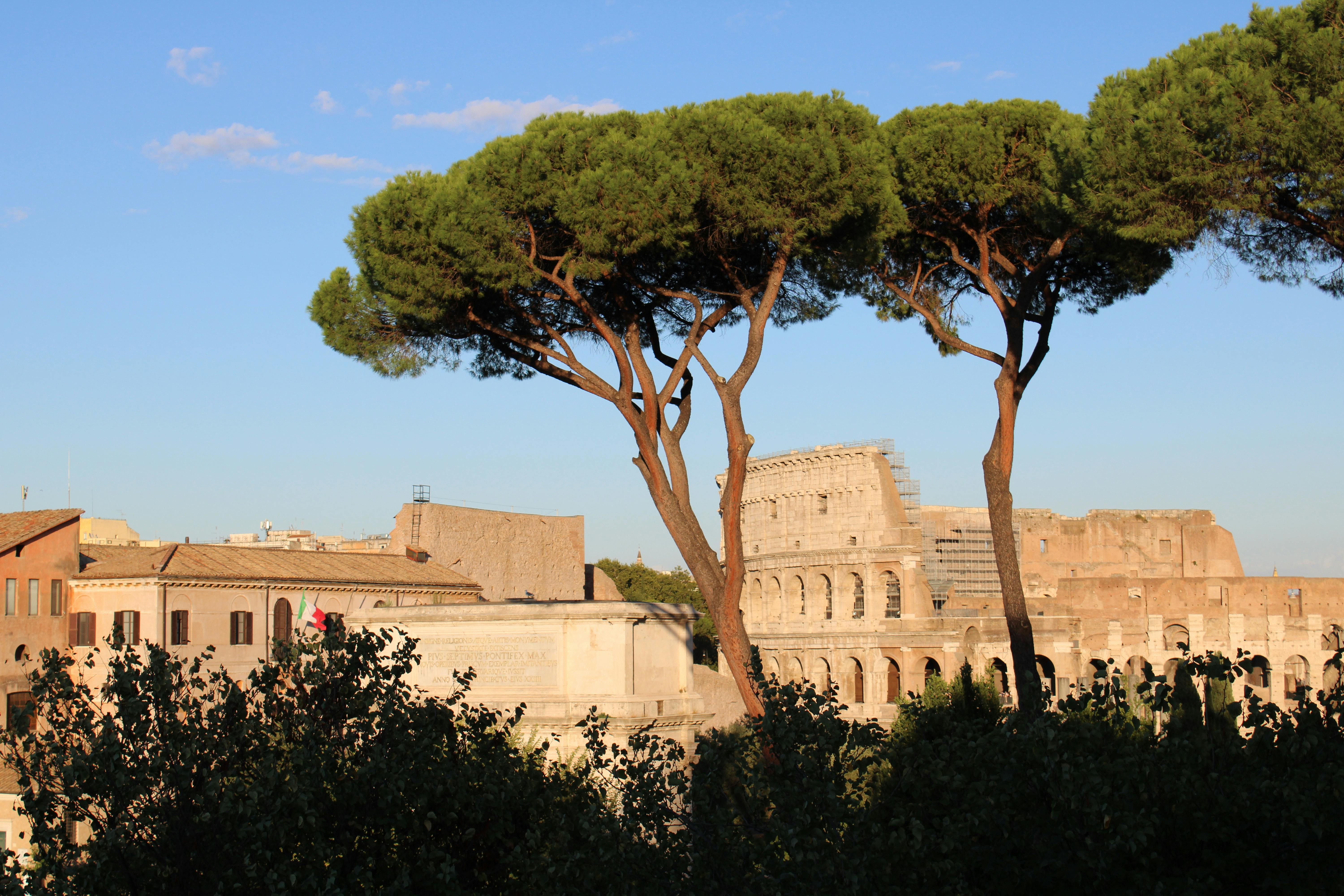 Ücretsiz abide, açık hava, ağaçlar içeren Ücretsiz stok fotoğraf Stok Fotoğraflar