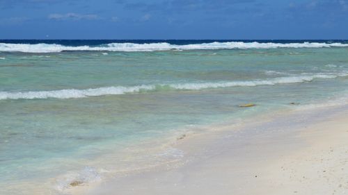 Free Experience tranquility at this pristine tropical beach with clear blue waters and gentle waves. Stock Photo
