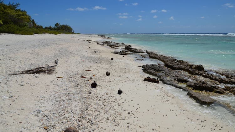 Exotic Island Beach