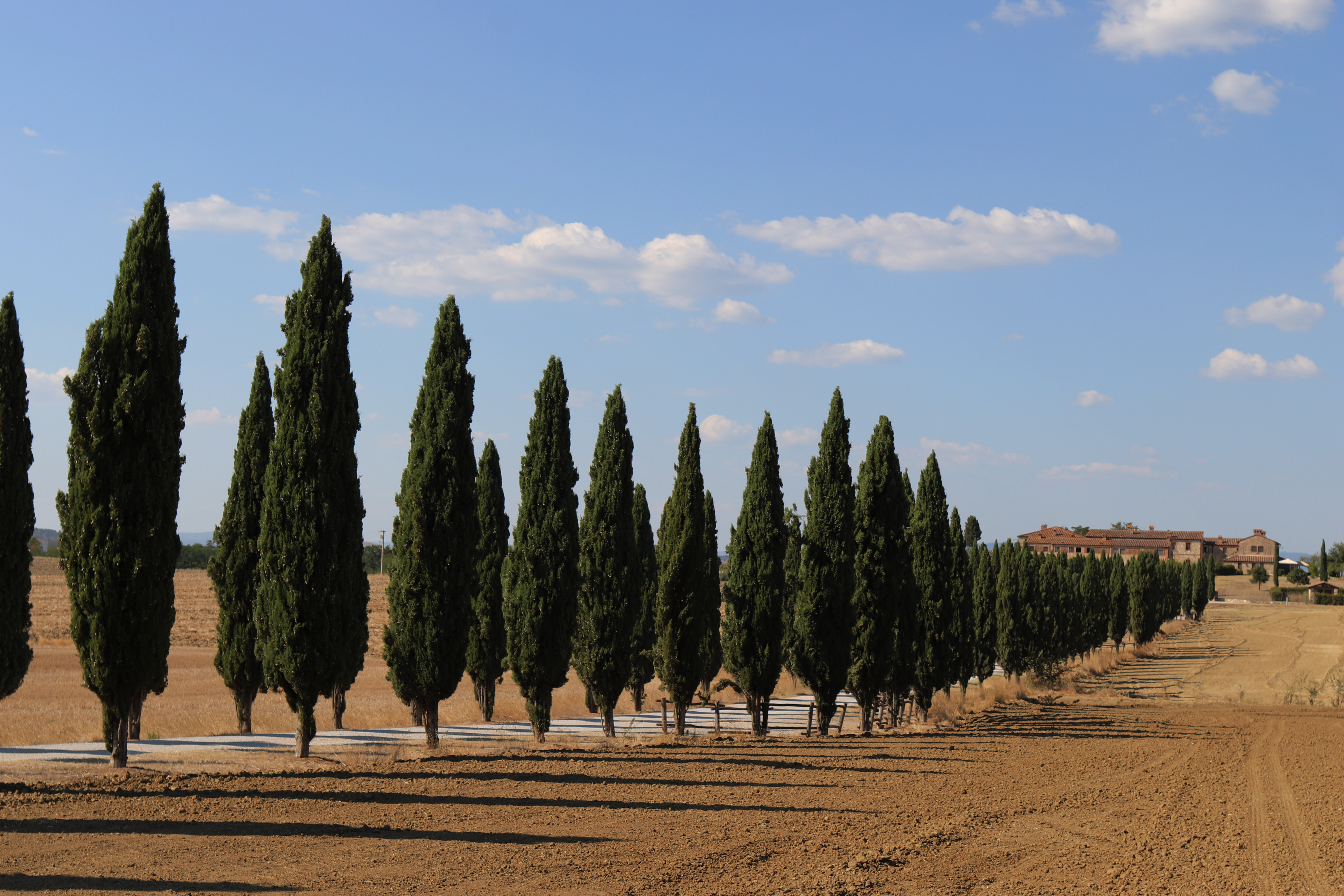 9 Day Living Slow in Tuscany: Small Group Cultural Immersion 1